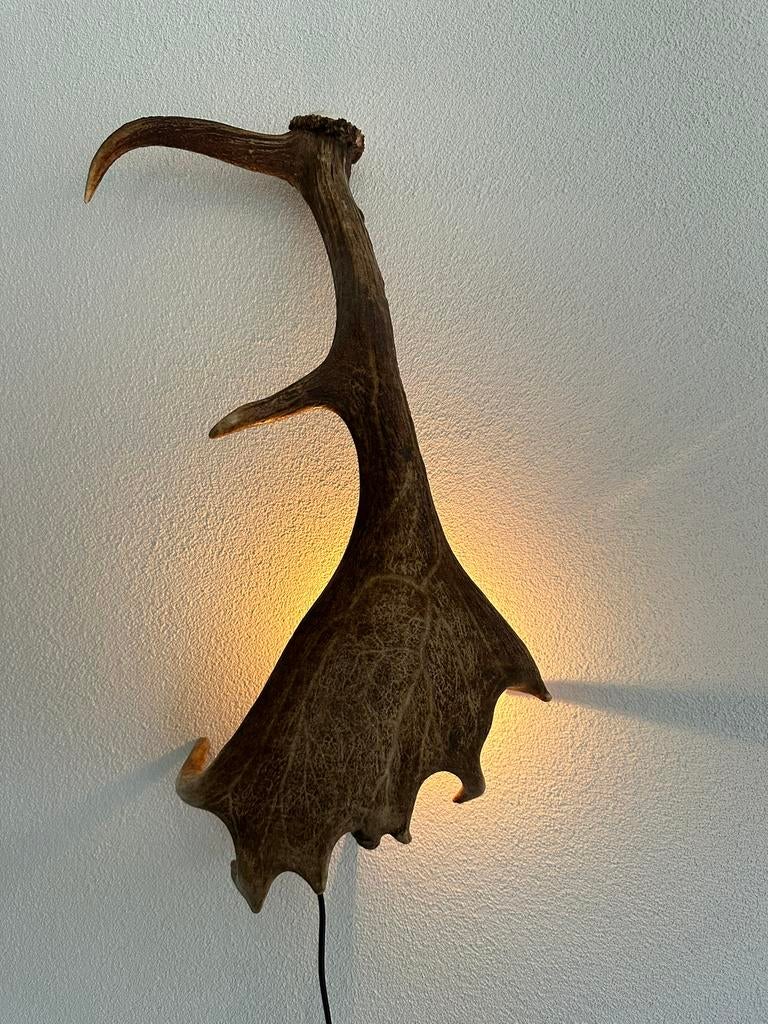 Geweien geweienlamp jacht Veluwe geweien edelhert wandlamp., Huis en Inrichting, Lampen | Wandlampen, Ophalen of Verzenden, Nieuw