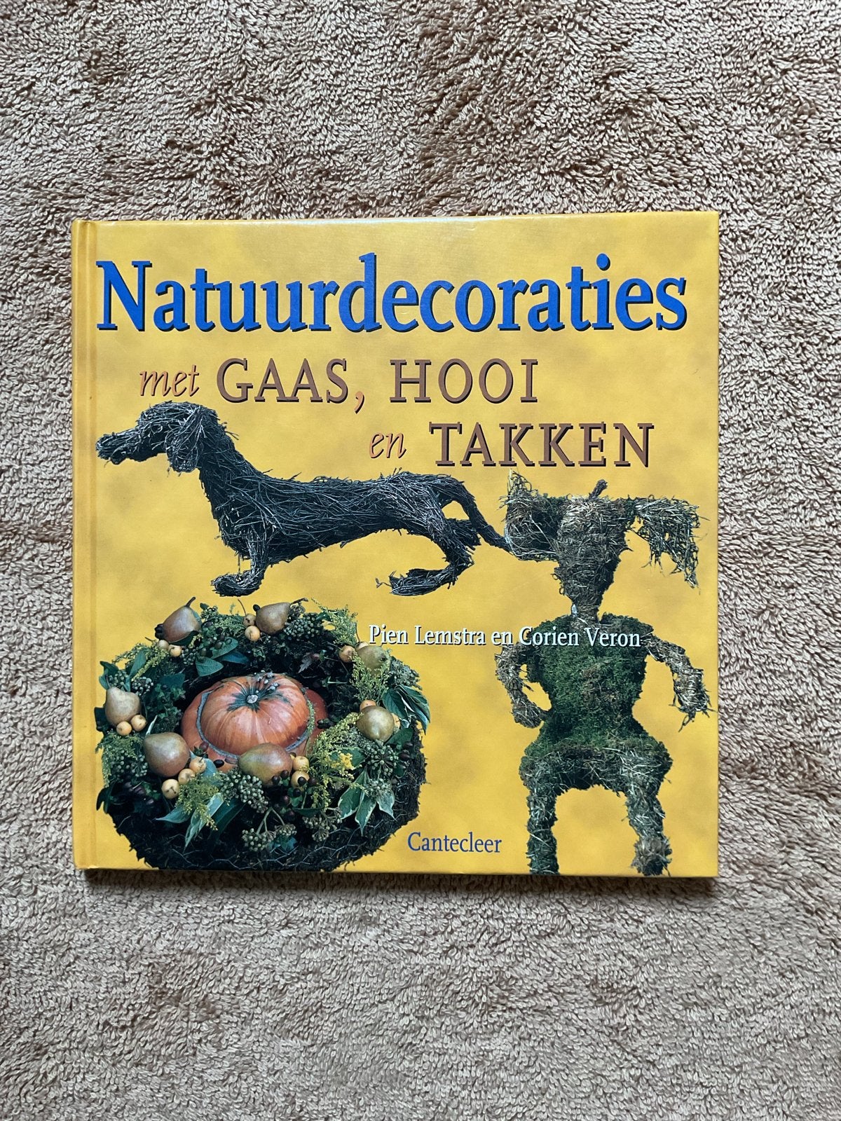 Natuurdecoraties met gaas, hooi en takken - Knutselboek, Ophalen of Verzenden, Zo goed als nieuw, Scrapbooking en Knutselen