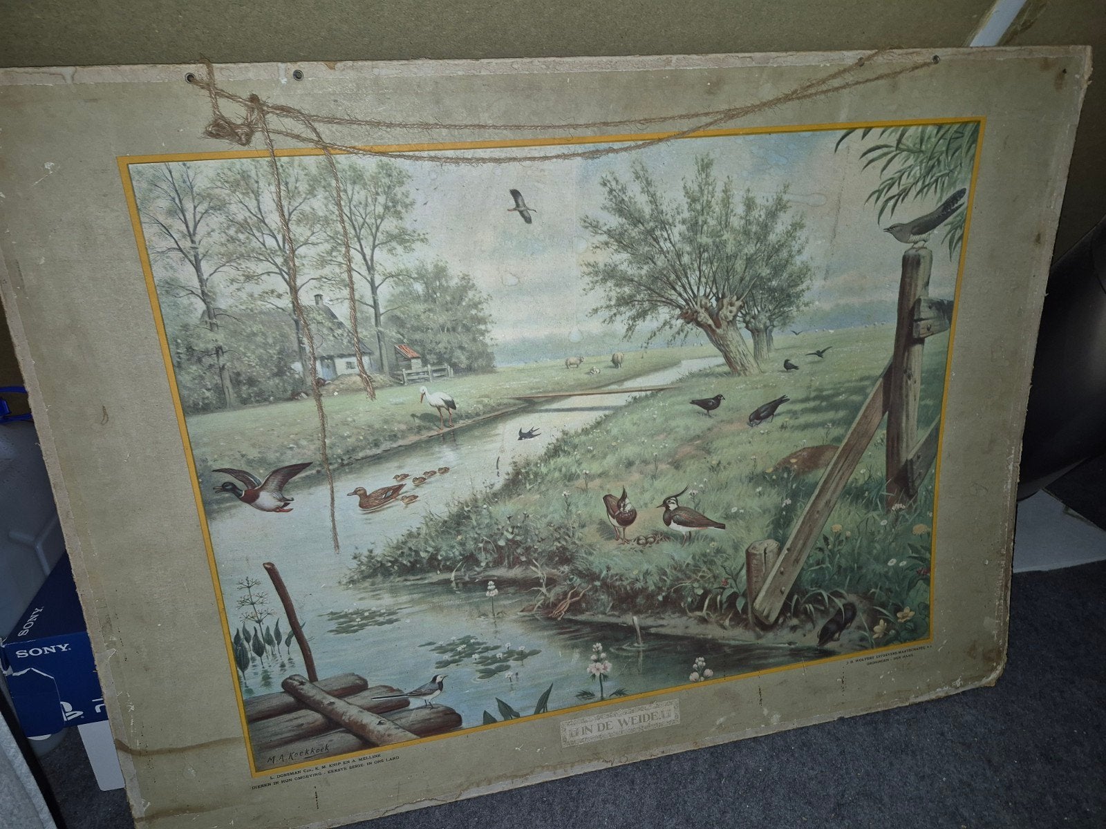 Oude schoolplaat wanddecoratie "In de Weide" M.A. Koekkoek, Ophalen, Natuur en Biologie