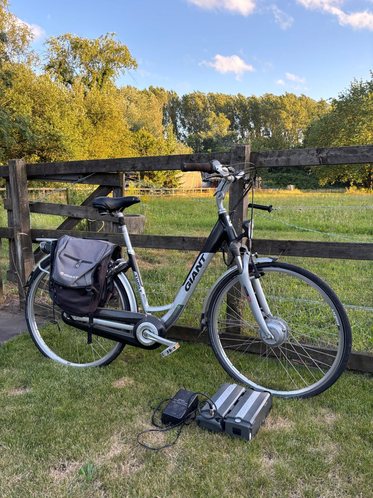 Giant elektrische fiets met 2 accu's, Ophalen, Minder dan 30 km per accu, Gebruikt, Giant