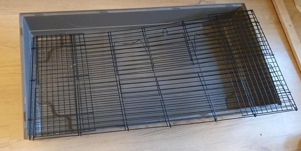 Konijn/cavia kooi 120 cm, Kooi, 110 cm of meer, Zo goed als nieuw, Konijn