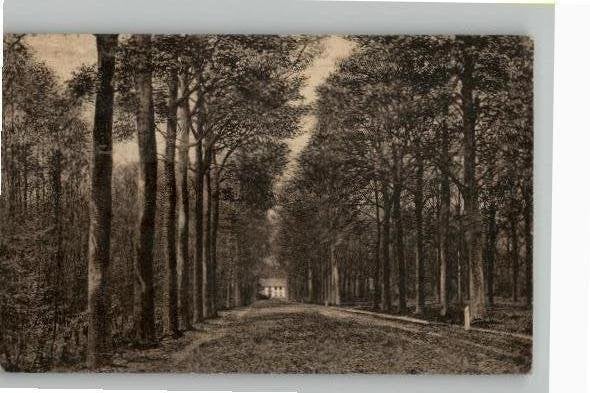 Prinsenhage Dreef Liesbosch 2 mooie kaarten, Verzamelen, Ansichtkaarten | Nederland, Verzenden, Voor 1920, Gelopen, Noord-Brabant