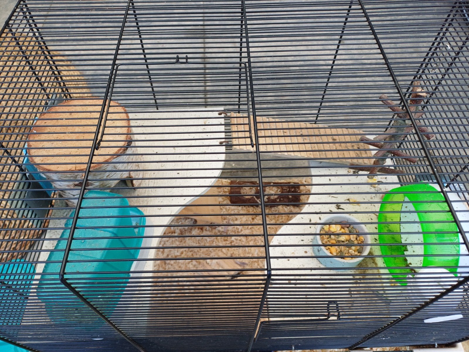 Hamsterhok en accessoires, Ophalen, Minder dan 75 cm, Hok, Minder dan 60 cm
