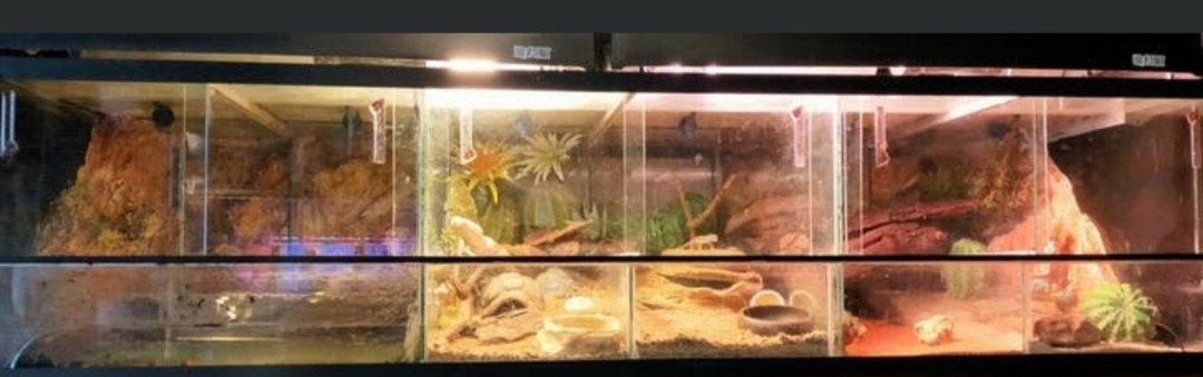 Terrarium, Ophalen