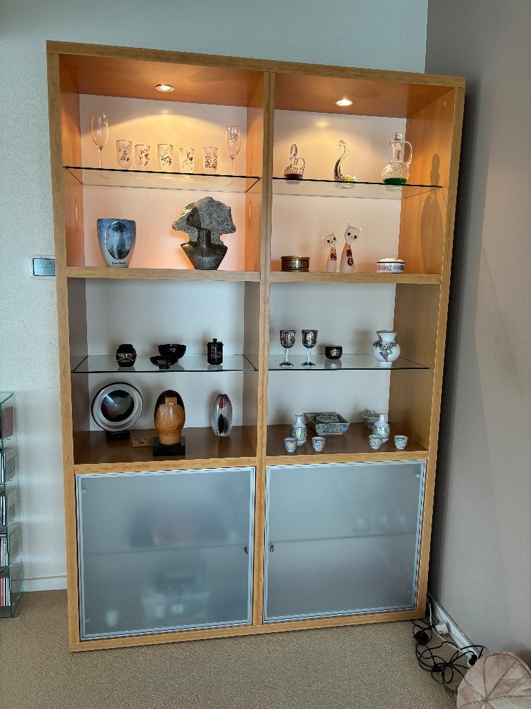 wandkast met ingebouwde verlichting, Ophalen, 200 cm of meer, Zo goed als nieuw, 25 tot 50 cm