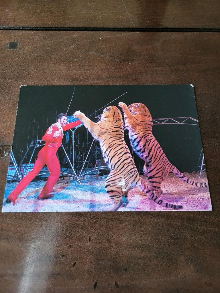 Circus/ themakaarten van roofdieren in het circus., Ophalen of Verzenden, 1980 tot heden, Ongelopen, Overige thema's