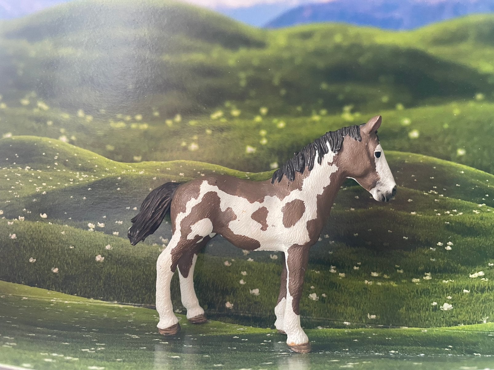 Schleich pinto, Ophalen of Verzenden, Nieuw, Paard, Beeldje of Figuurtje