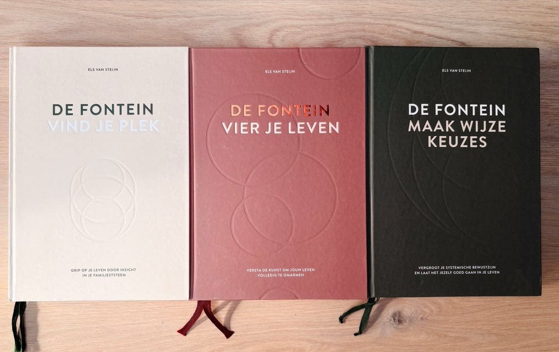 De Fontein - Vind je plek (andere 2 inmiddels verkocht), Verzenden, Zo goed als nieuw
