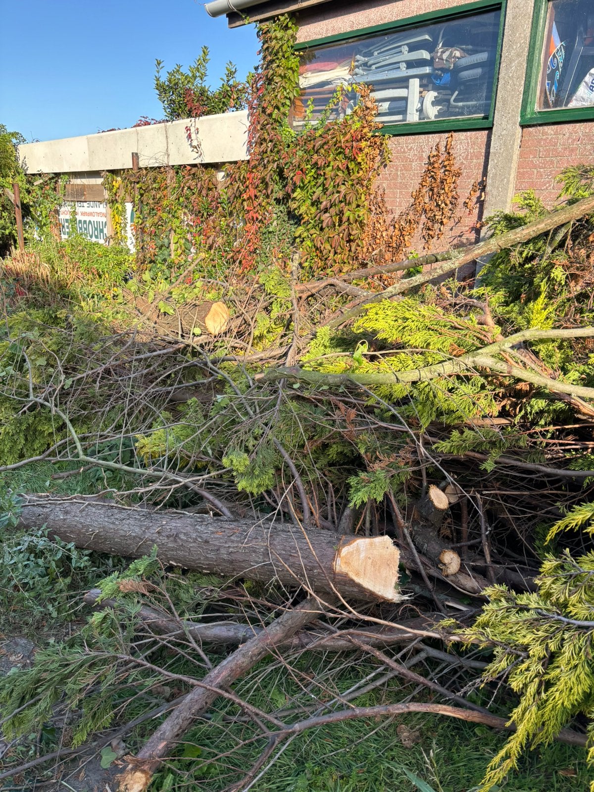 Gratis haardhout zelf ophalen, Tuin en Terras, 6 m³ of meer, Ophalen of Verzenden, Stammen