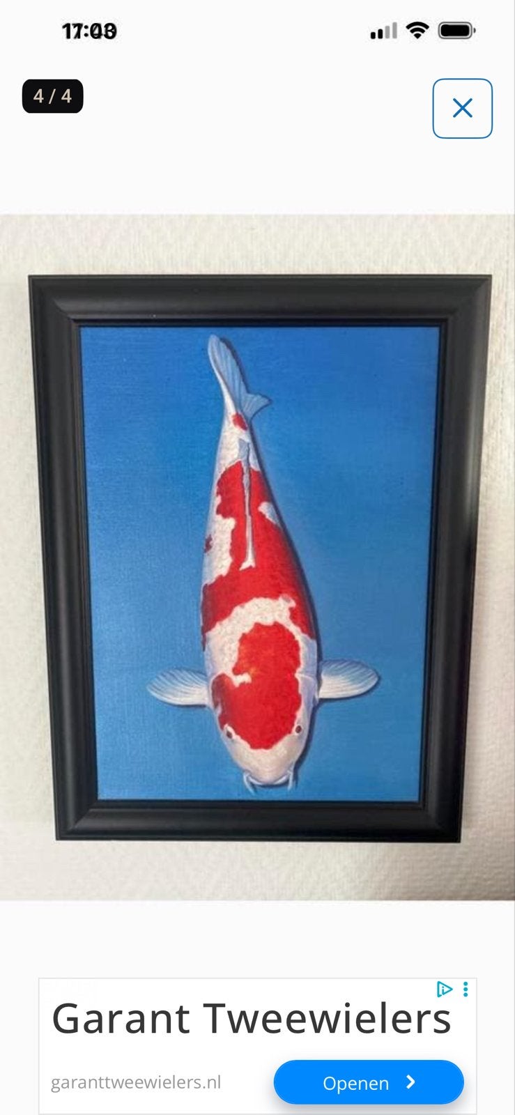 Schilderij van een Koi karper, Ophalen