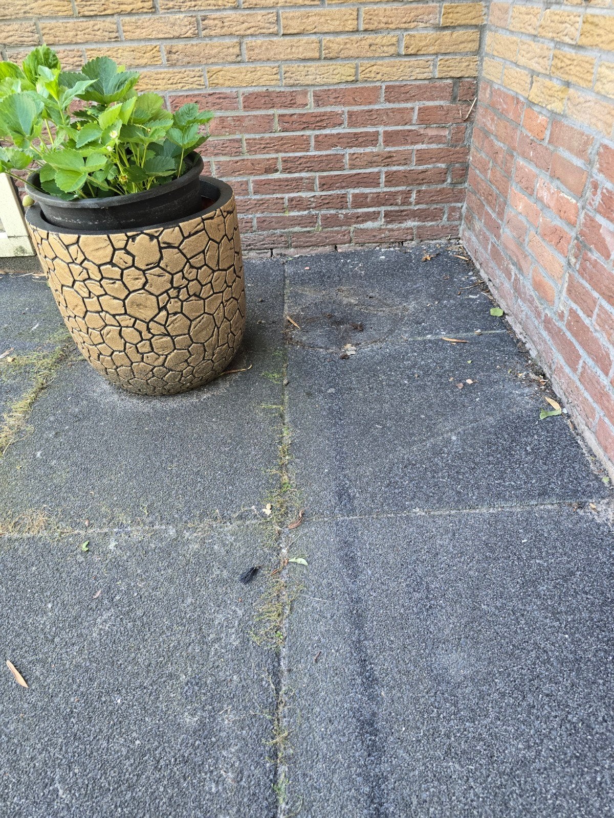 Zwarte terrastegels 60x60. 7cm dik (Onderkant grijs), Ophalen, Gebruikt, 10 m² of meer, Beton