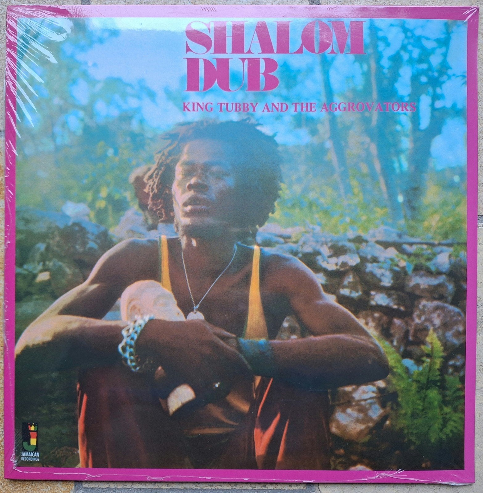 King Tubby & Aggrovators - Shalom Dub (reggae dub LP), LP, Ophalen of Verzenden, Reissue, 12 inch