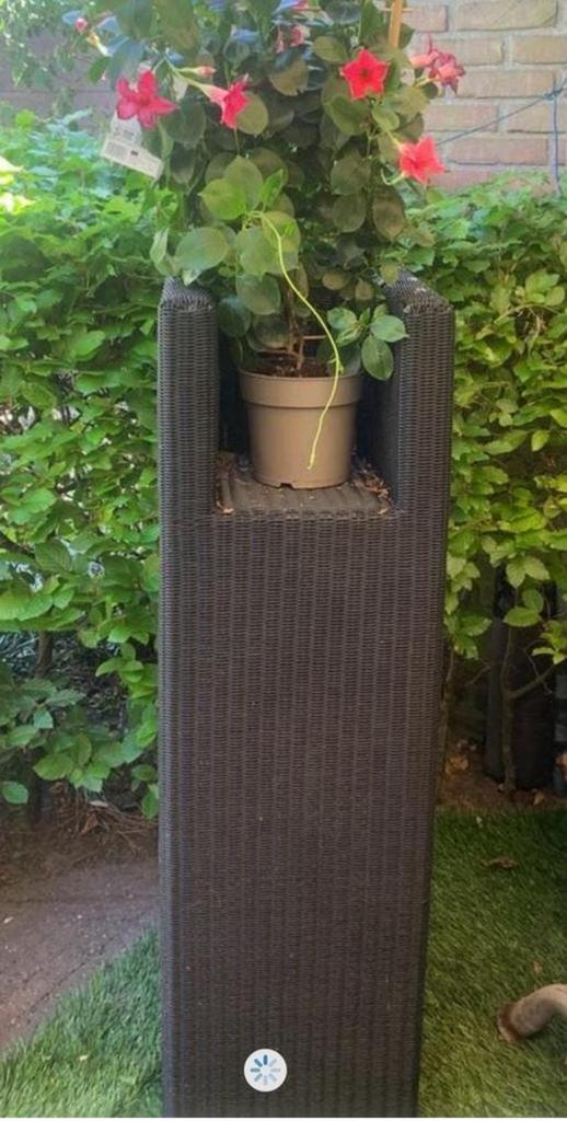 Grote plantenzuil voor buiten, Huis en Inrichting, Woonaccessoires | Zuilen en Pilaren, Ophalen, Zo goed als nieuw
