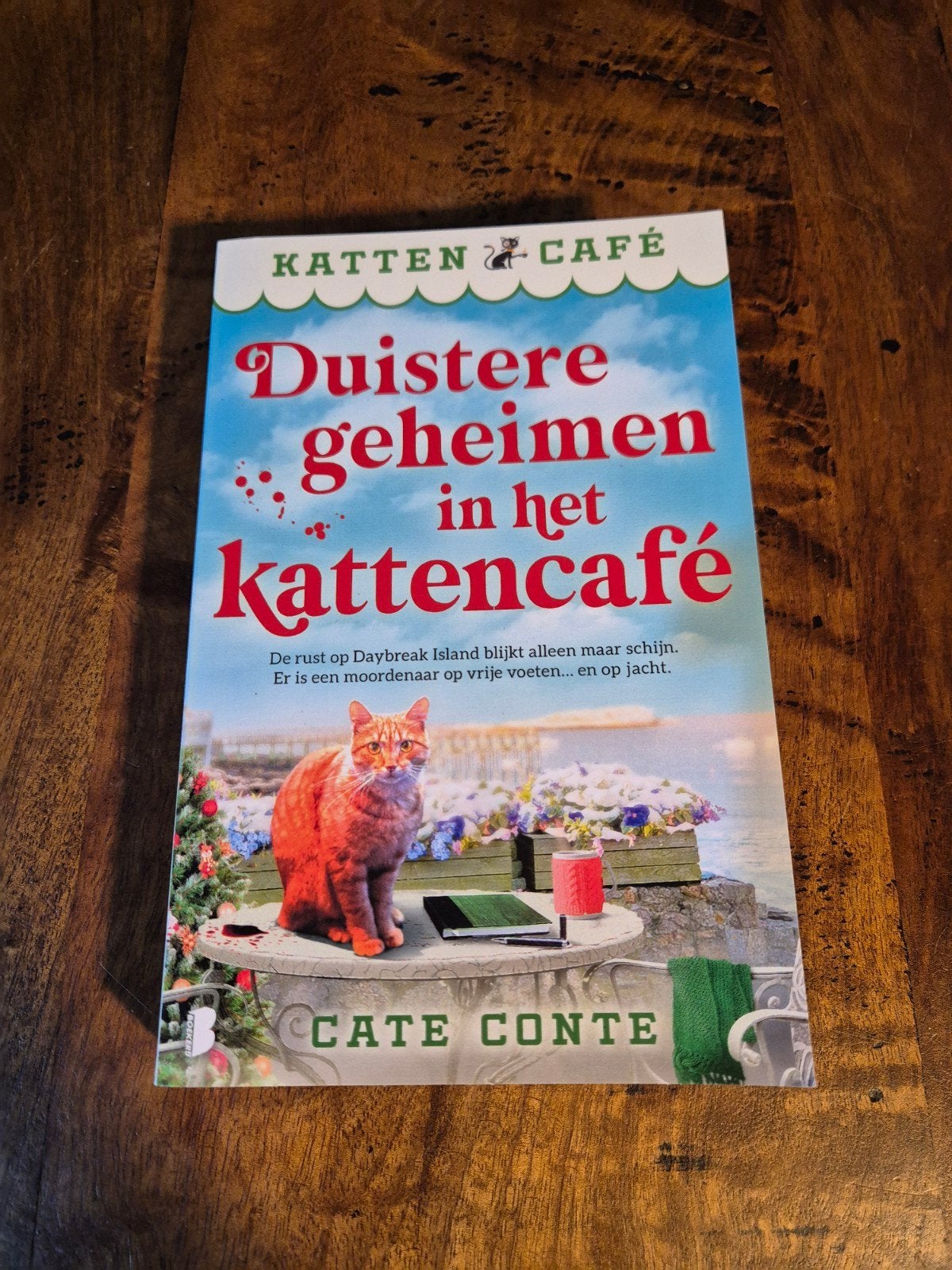Katten cafe, duistere geheimen in het kattencafe, Ophalen of Verzenden