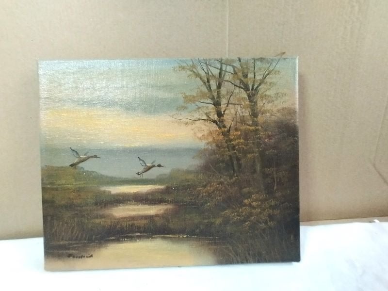 Schilderij Wilde eenden, Minder dan 50 cm, Gebruikt, Ophalen of Verzenden, Schilderij
