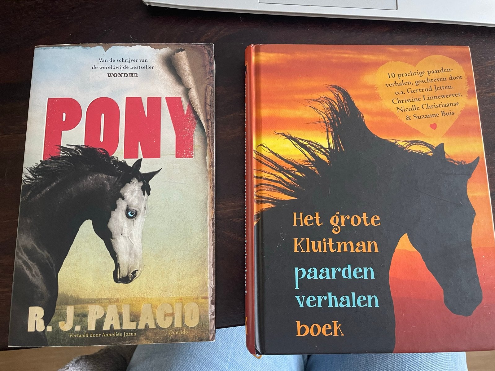 Pony & Het grote Kluitman paardenverhalenboek (2 boeken), Boeken, Ophalen of Verzenden, Gelezen, Fictie