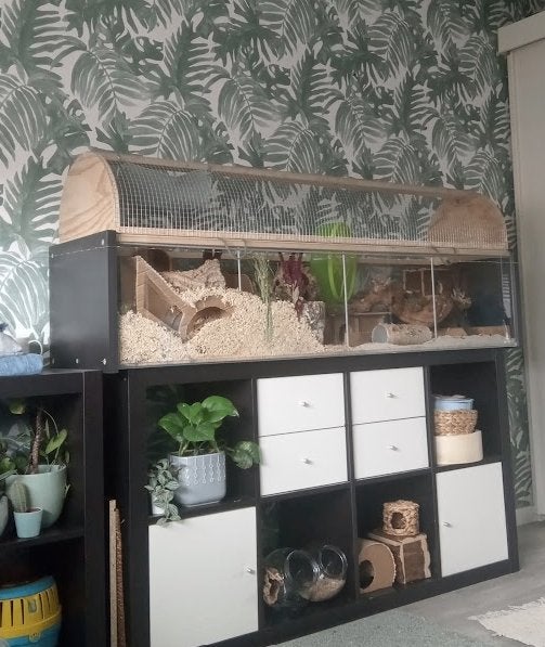 Hamster verblijf ikea detolf, Dieren en Toebehoren, Knaagdieren en Konijnen | Hokken en Kooien, Gebruikt, Overige typen, Minder dan 75 cm