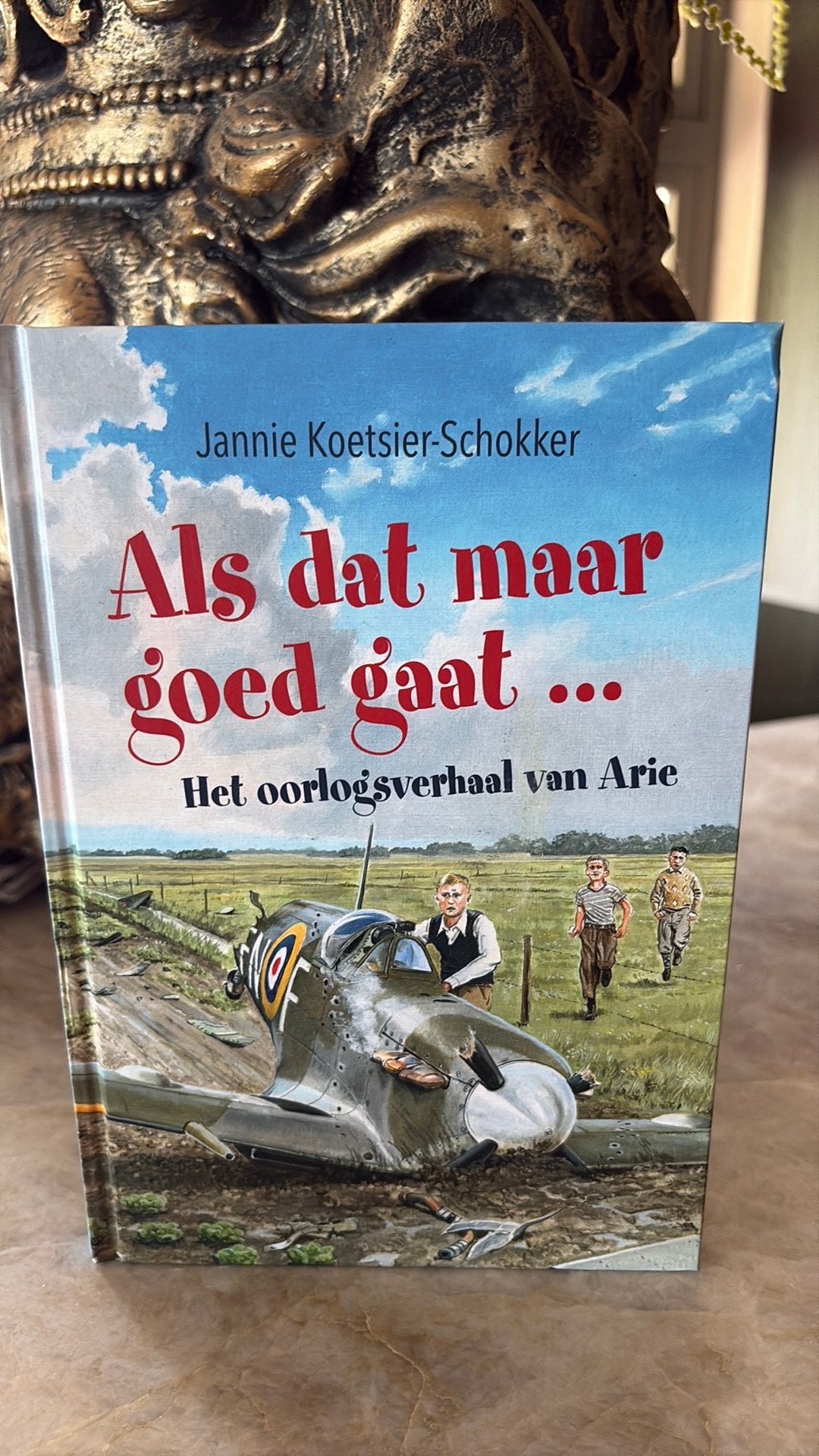 Janny Koetsier- Schokker - Als dat maar goed gaat ..., Ophalen of Verzenden, Zo goed als nieuw, Janny Koetsier- Schokker