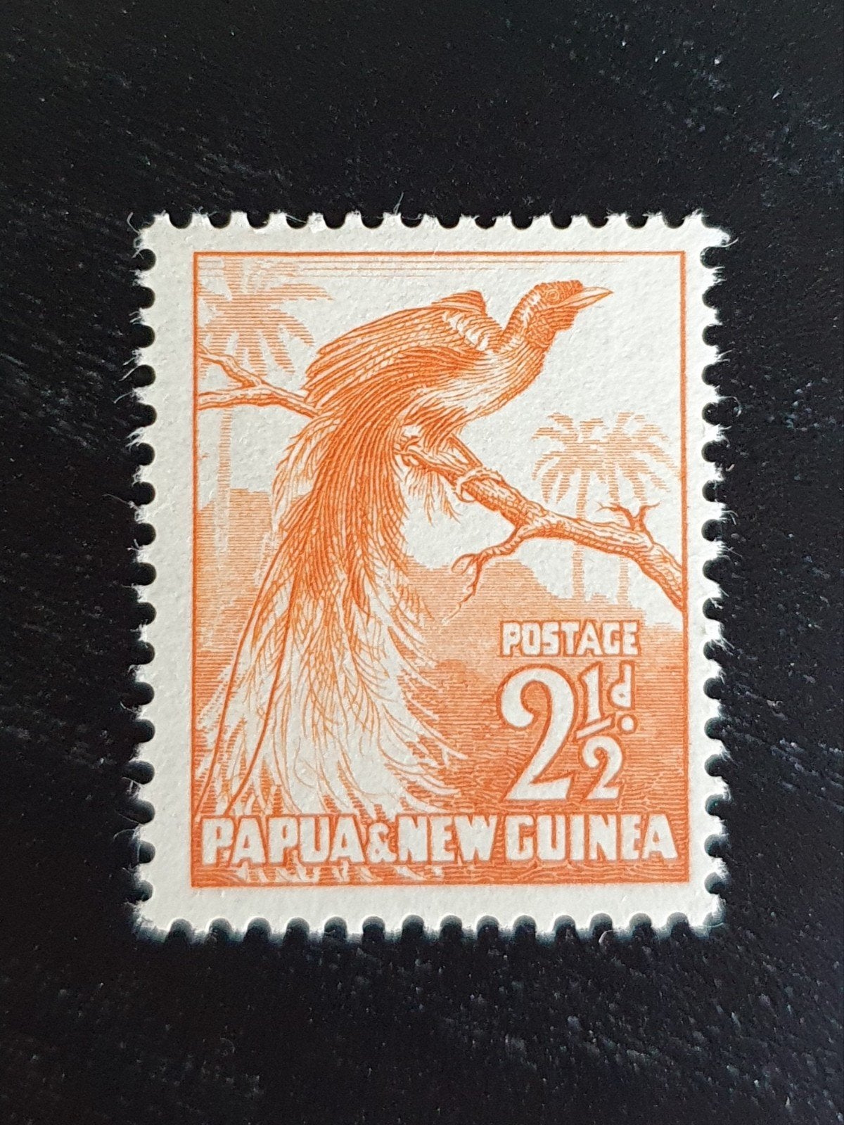 Papoea Nieuw-Guinea 1952 Vogel Michel 4 postfris, Verzenden, Postfris, Dier of Natuur