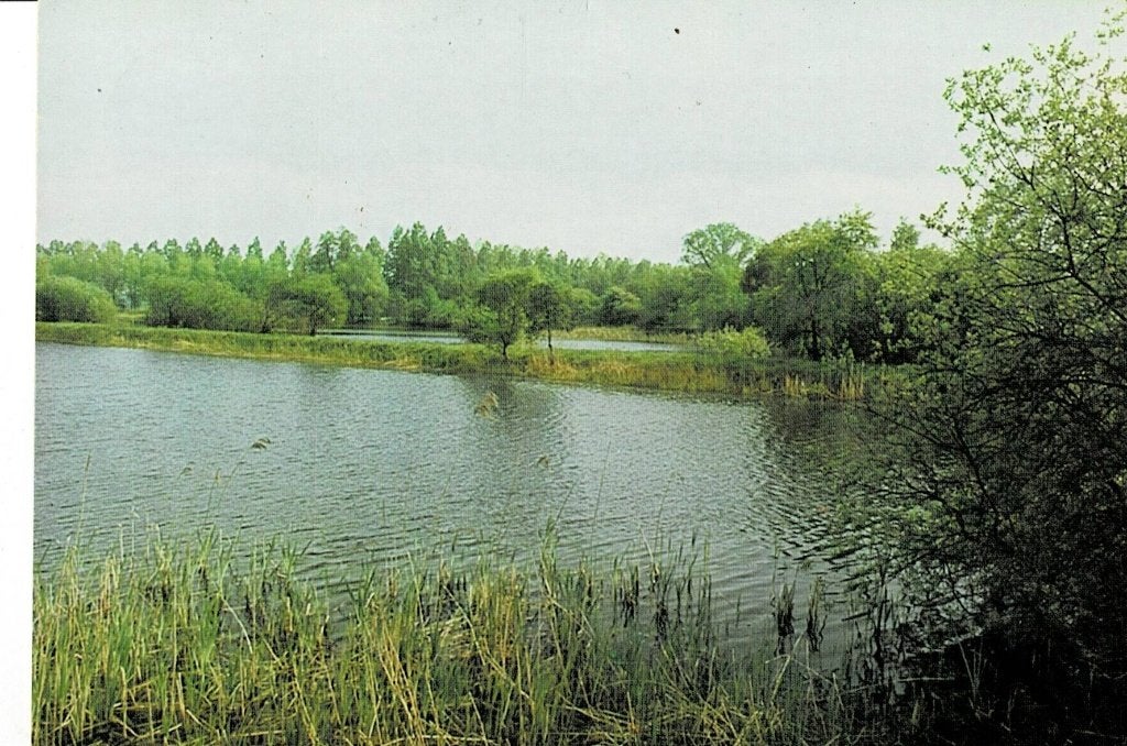 Bergeyk, Kweekvijver O.V.B., Verzamelen, Ophalen of Verzenden, Gelopen, Noord-Brabant