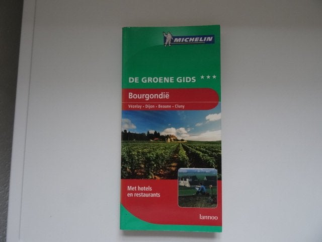 Bourgondie ; michelin reisgids, Boeken, Michelin, Europa, Ophalen of Verzenden, Zo goed als nieuw
