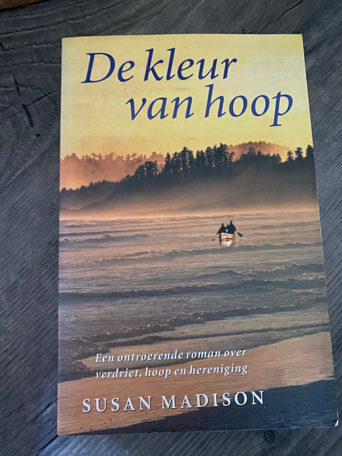 Susan Madison - De kleur van hoop, Ophalen of Verzenden, Zo goed als nieuw, Susan Madison