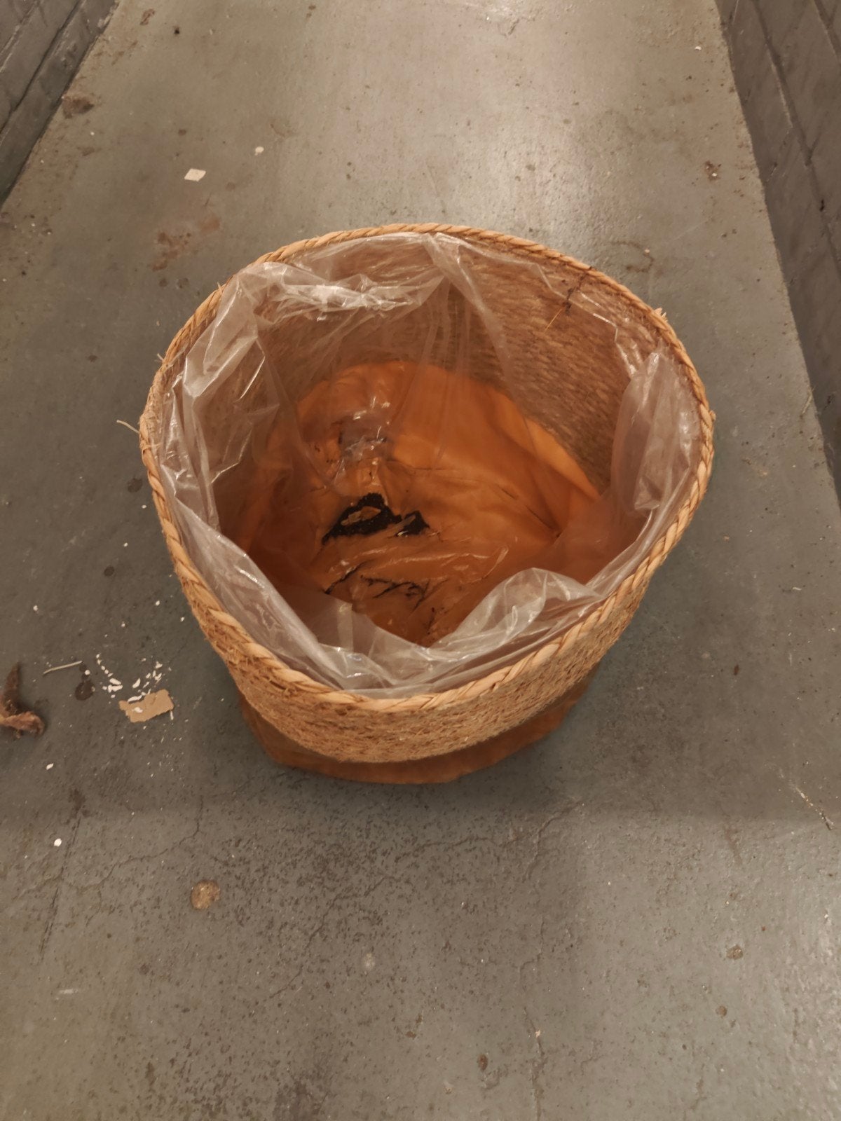 Grote geweven bloempot met binnenvoering, Tuin en Terras, Bloembakken en Plantenbakken, Gebruikt, Overige materialen, Binnen, Balkon