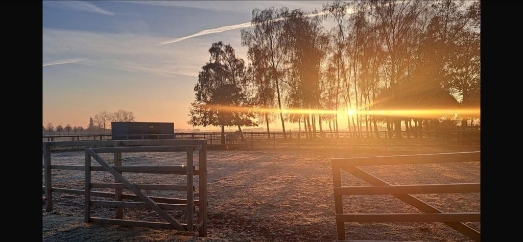 Weidegang aangeboden met schuilstal, Weidegang