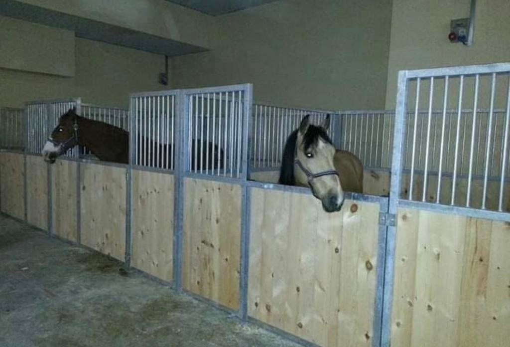 Paardenboxen en Paardenstallen | Nieuw | OP=OP, Stalling