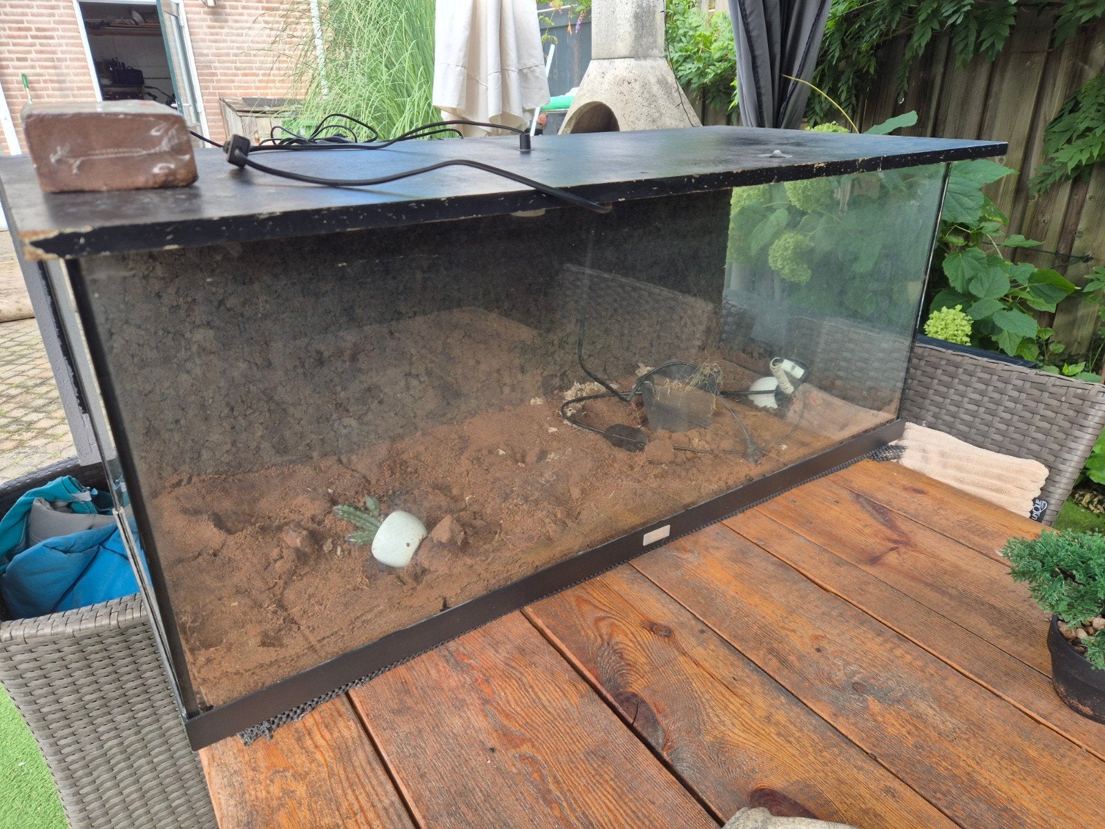 terrarium van glas, Dieren en Toebehoren, Ophalen