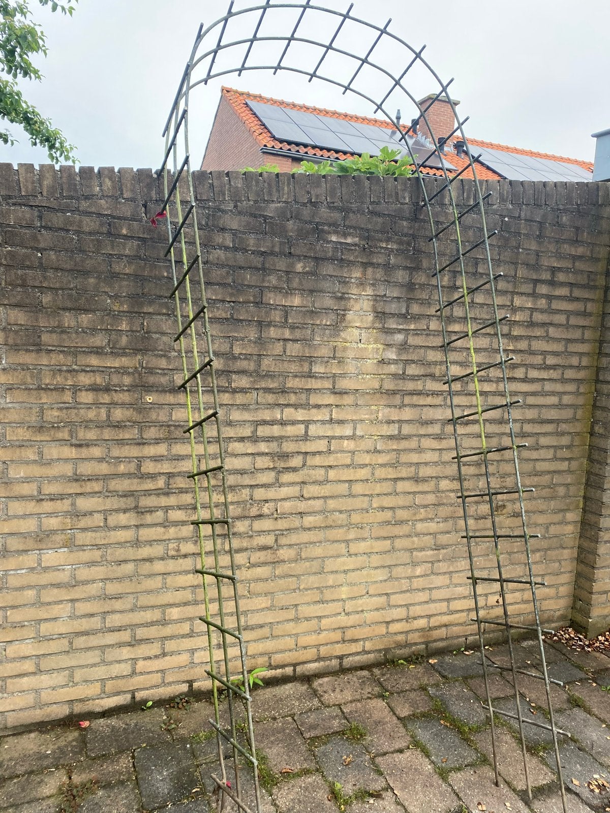 Rozenboog 260x105x40cm t.e.a.b., Tuin en Terras, Planten | Tuinplanten, Ophalen, Klimplanten, Volle zon