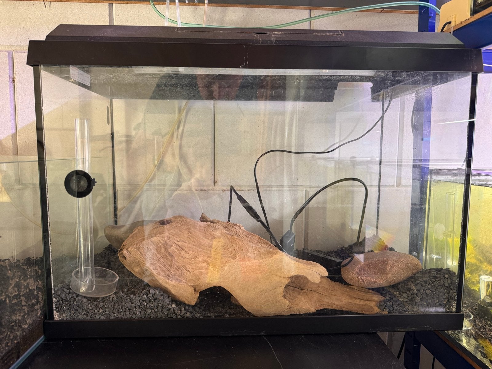 Juwel 70L aquarium met verlichting, hout en bodem, Ophalen, Gebruikt, Leeg aquarium, Juwel