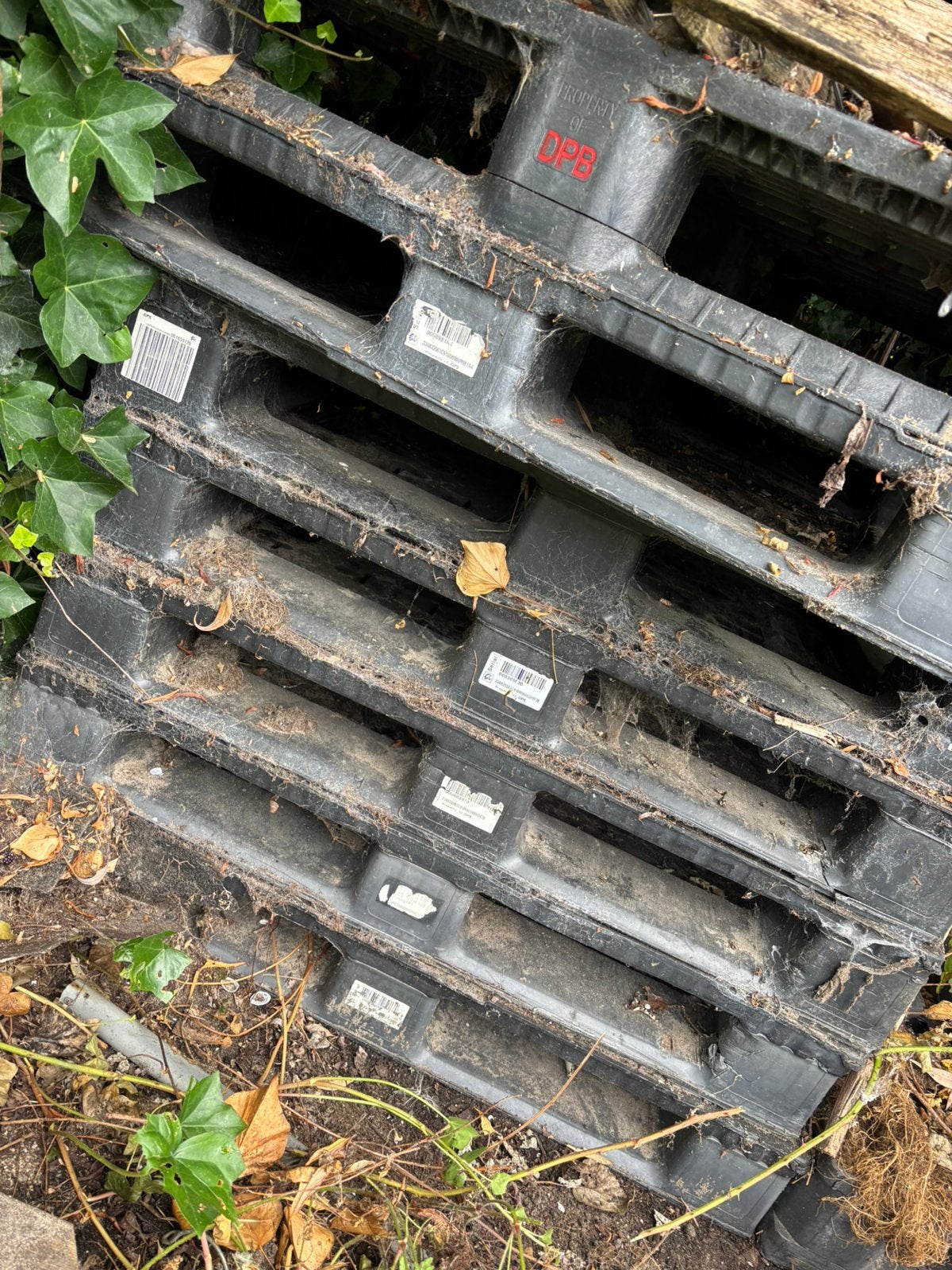 8x plastic pallets oerdegelijk, Ophalen, Gebruikt, Pallet, Minder dan 200 cm