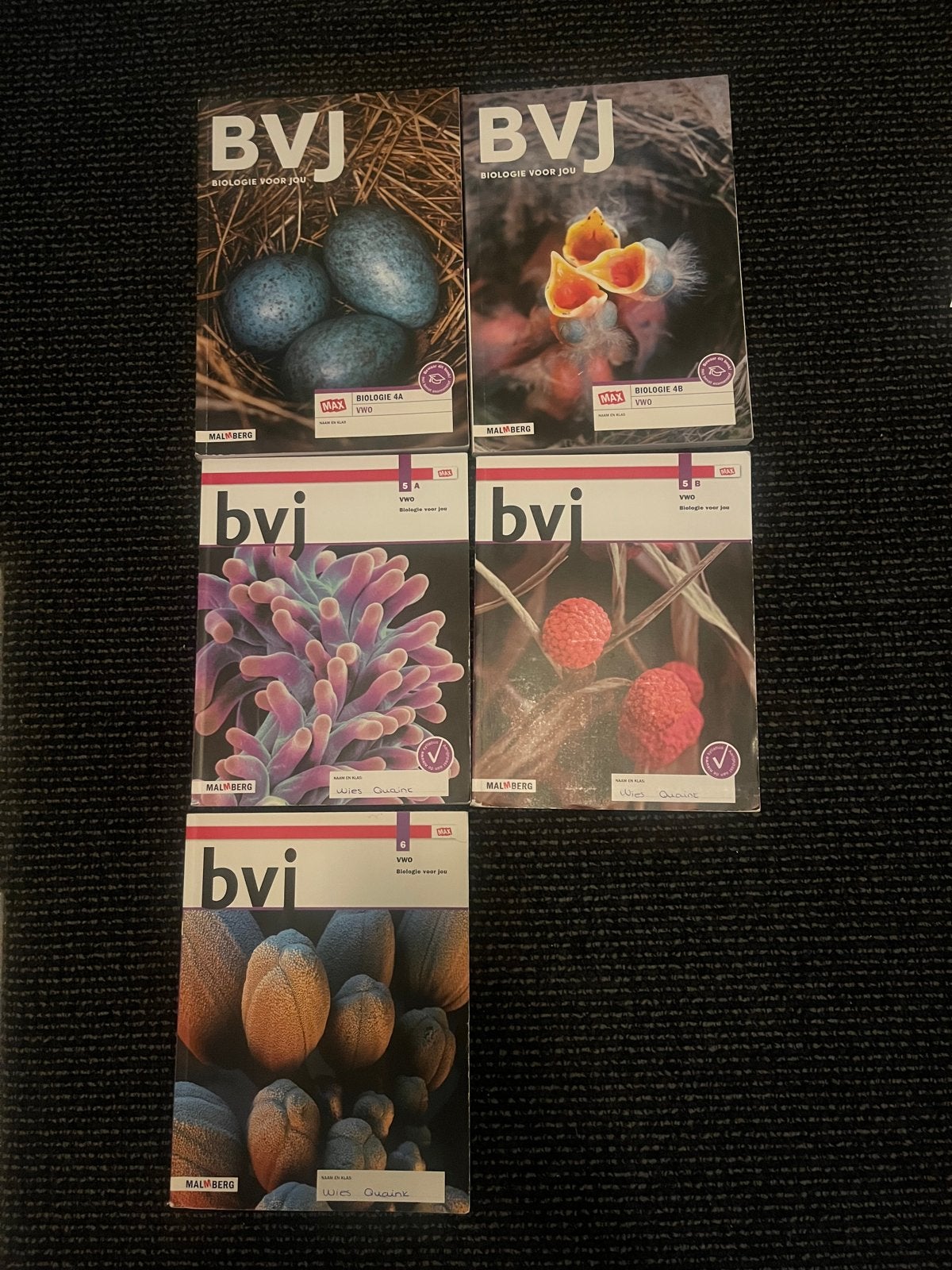 Biologie voor jou VWO boeken leerjaar 4-6, Boeken, Verzenden, Gelezen, VWO, Biologie