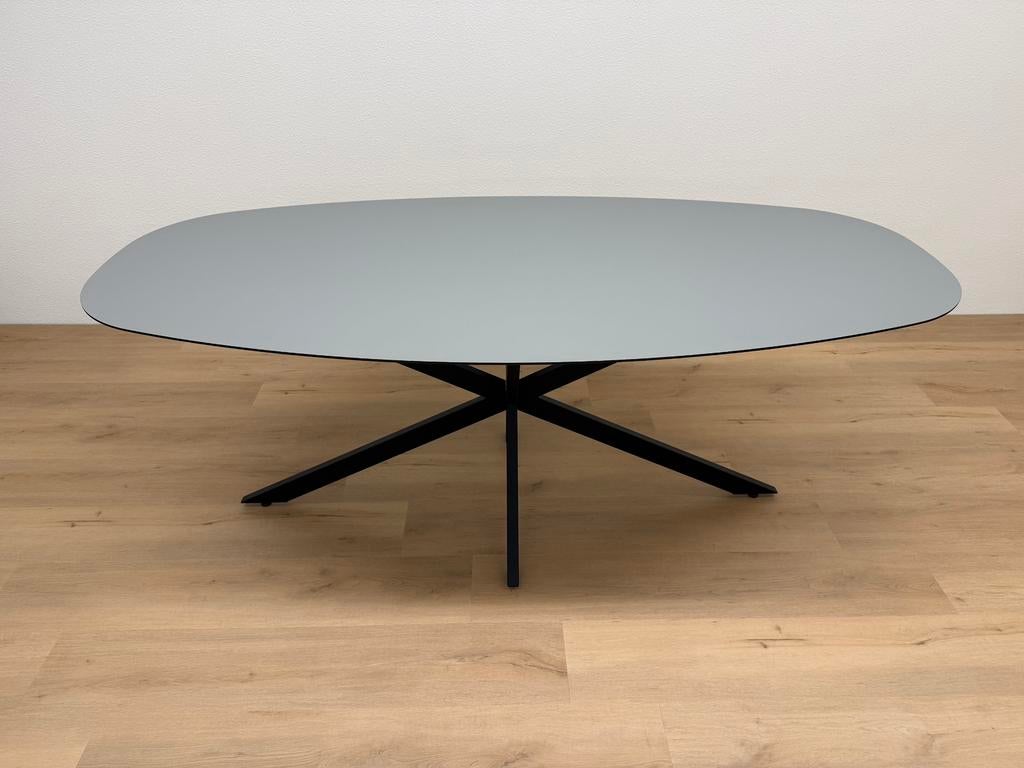 Deens ovale eettafel Linoleum 200x100 - Direct Leverbaar, 100 tot 150 cm, 200 cm of meer, Ophalen of Verzenden, Zo goed als nieuw