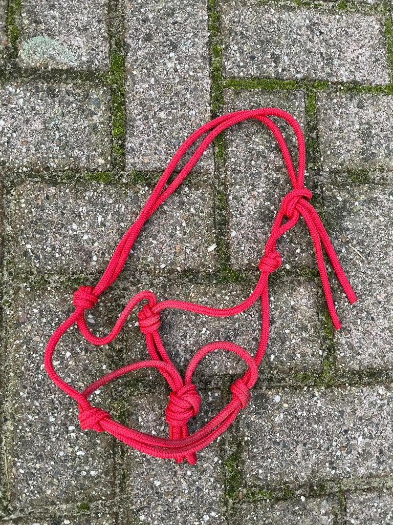 Rood touwhalster mini shet!, Gebruikt, BR, Rood, Mini