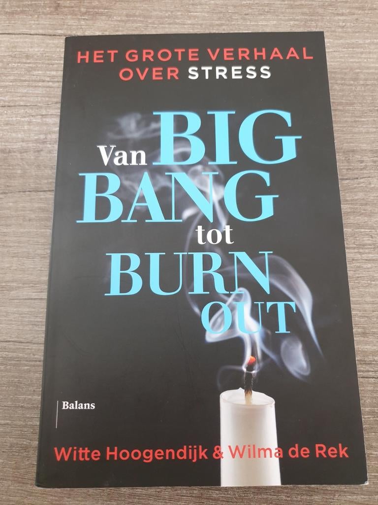 Van Big Bang tot Burn Out: Het Grote Verhaal over Stress, Ophalen of Verzenden, Gelezen, Witte Hoogendijk & Wilma de Rek
