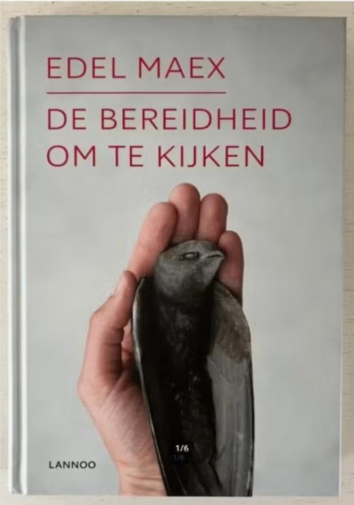 De bereidheid om te kijken - Edel Maex, Overige typen, Ophalen of Verzenden, Zo goed als nieuw, Overige onderwerpen