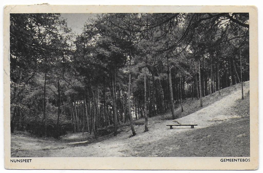 Nunspeet Gemeentebos gelopen Ansichtkaart ( B7318 ), Ophalen of Verzenden, 1960 tot 1980, Gelopen, Gelderland