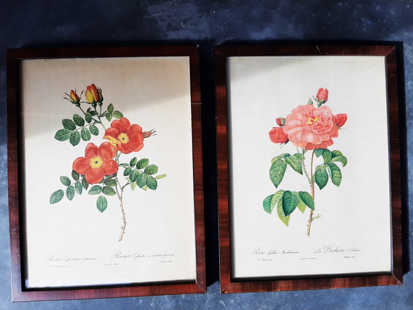 2 lijstjes met bloemenprent, Antiek en Kunst, Ophalen of Verzenden