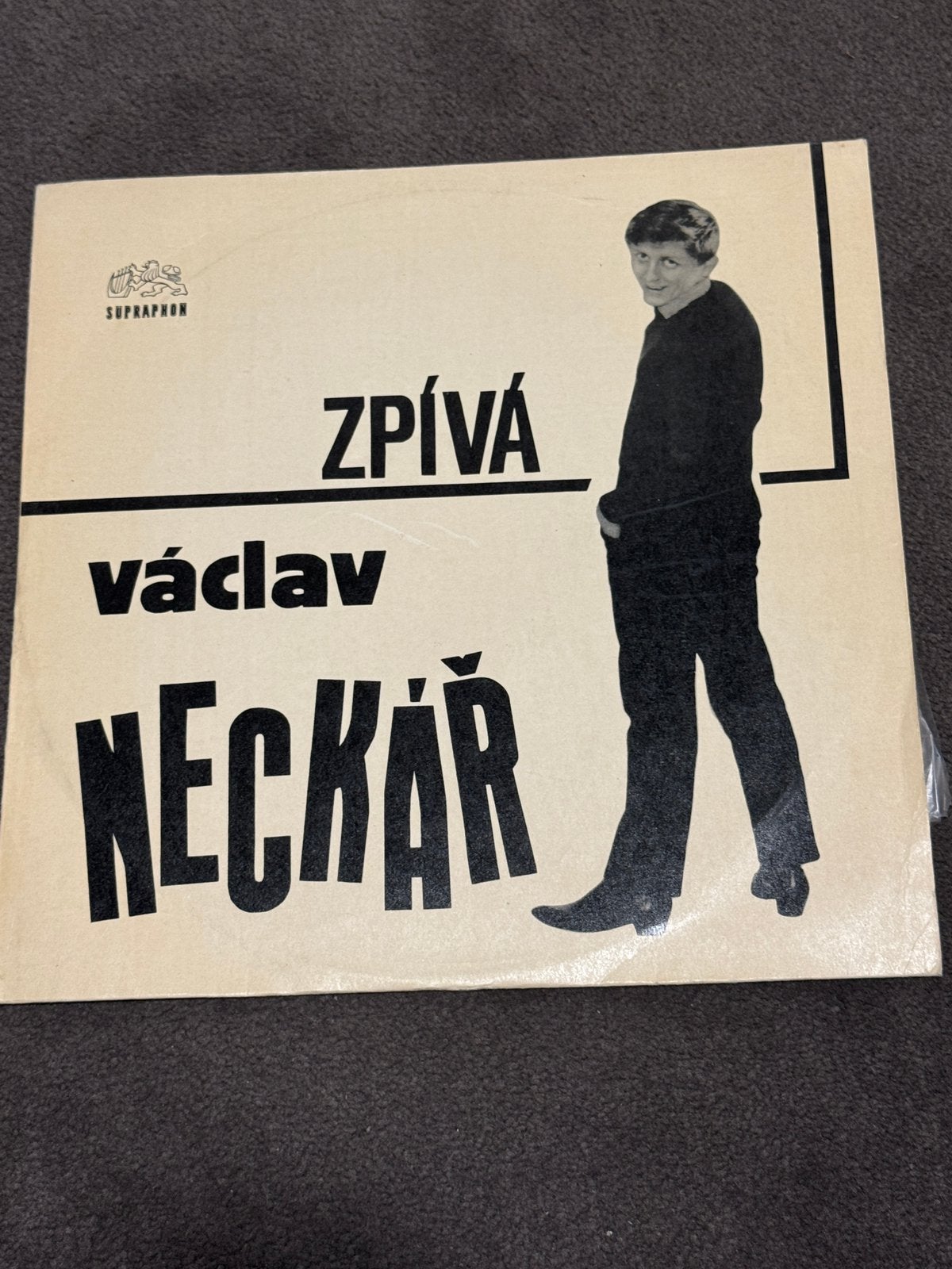 LP  Václav Neckář Zpívá Pro Mladé, Ophalen of Verzenden, Zo goed als nieuw, 12 inch