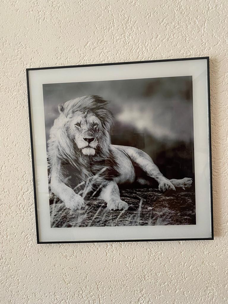 Set van 2 ingelijste zwart-wit dierenprints, Ophalen