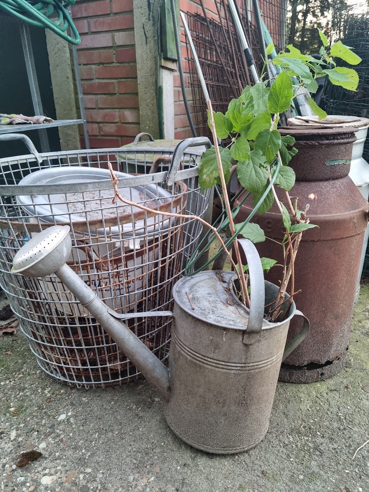 Prachtige ouderwetse zinken gieter inclusief hortentia!, Ophalen of Verzenden, Zo goed als nieuw, Metaal, Overige vormen