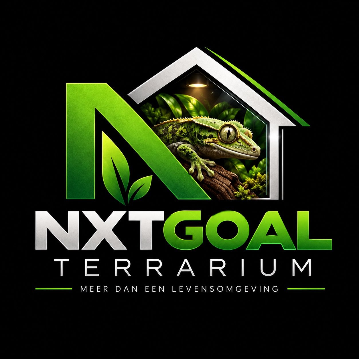 Terrarium OSB, Dieren en Toebehoren, Ophalen of Verzenden, Nieuw