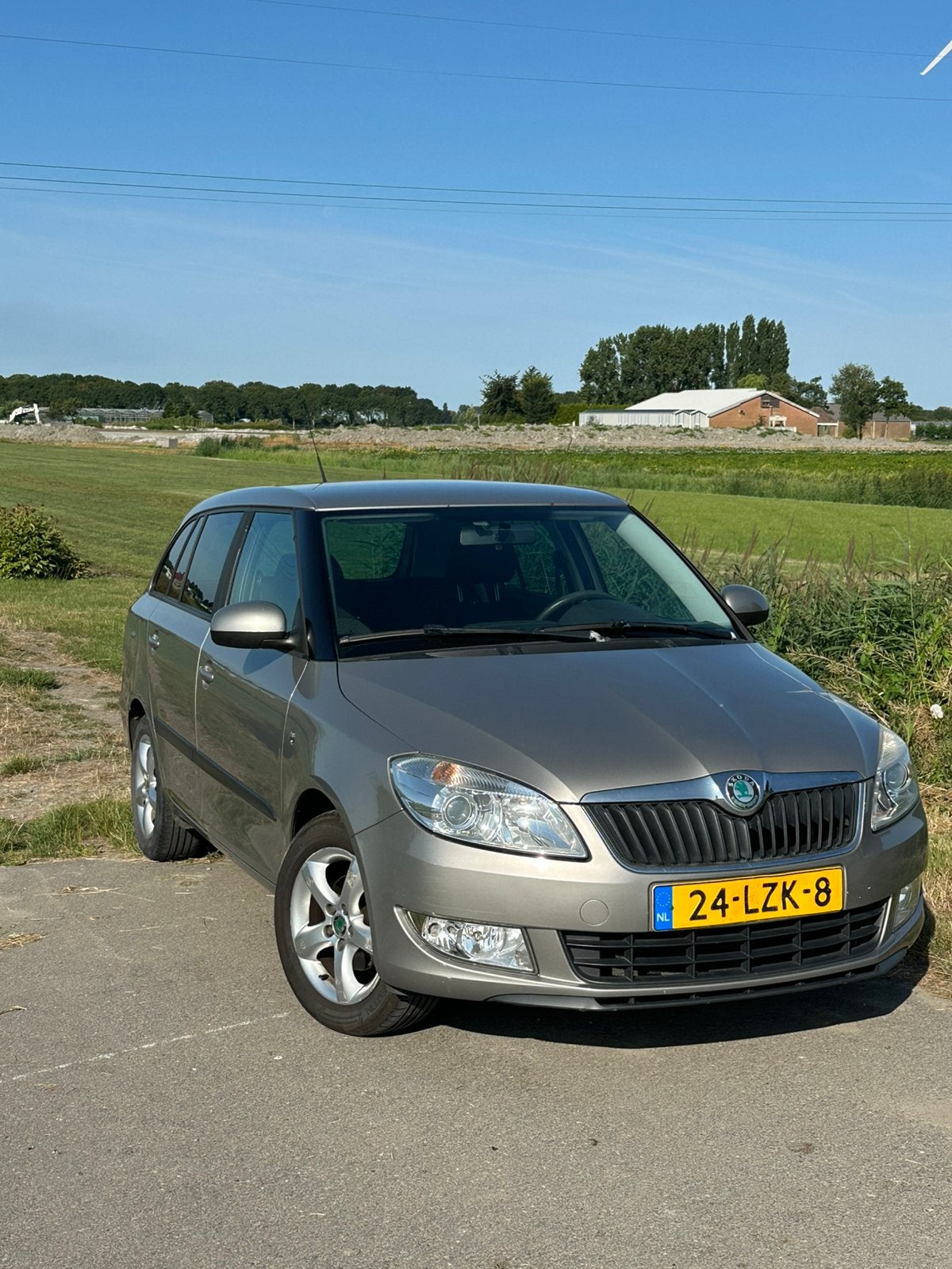 Skoda Fabia 1.2 TDI 55KW Combi 2010 Beige, Auto's, Voorwielaandrijving, 450 kg, 1199 cc, Beige
