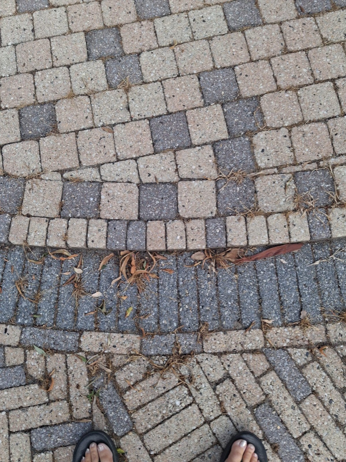 sier bestrating gratis af te halen, Ophalen, Overige materialen, Gebruikt, Klinkers