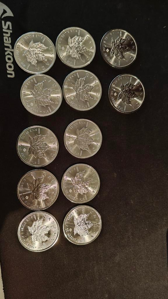 1oz maple leaf zilver diverse jaartallen, Ophalen of Verzenden, Noord-Amerika, Losse munt, Zilver