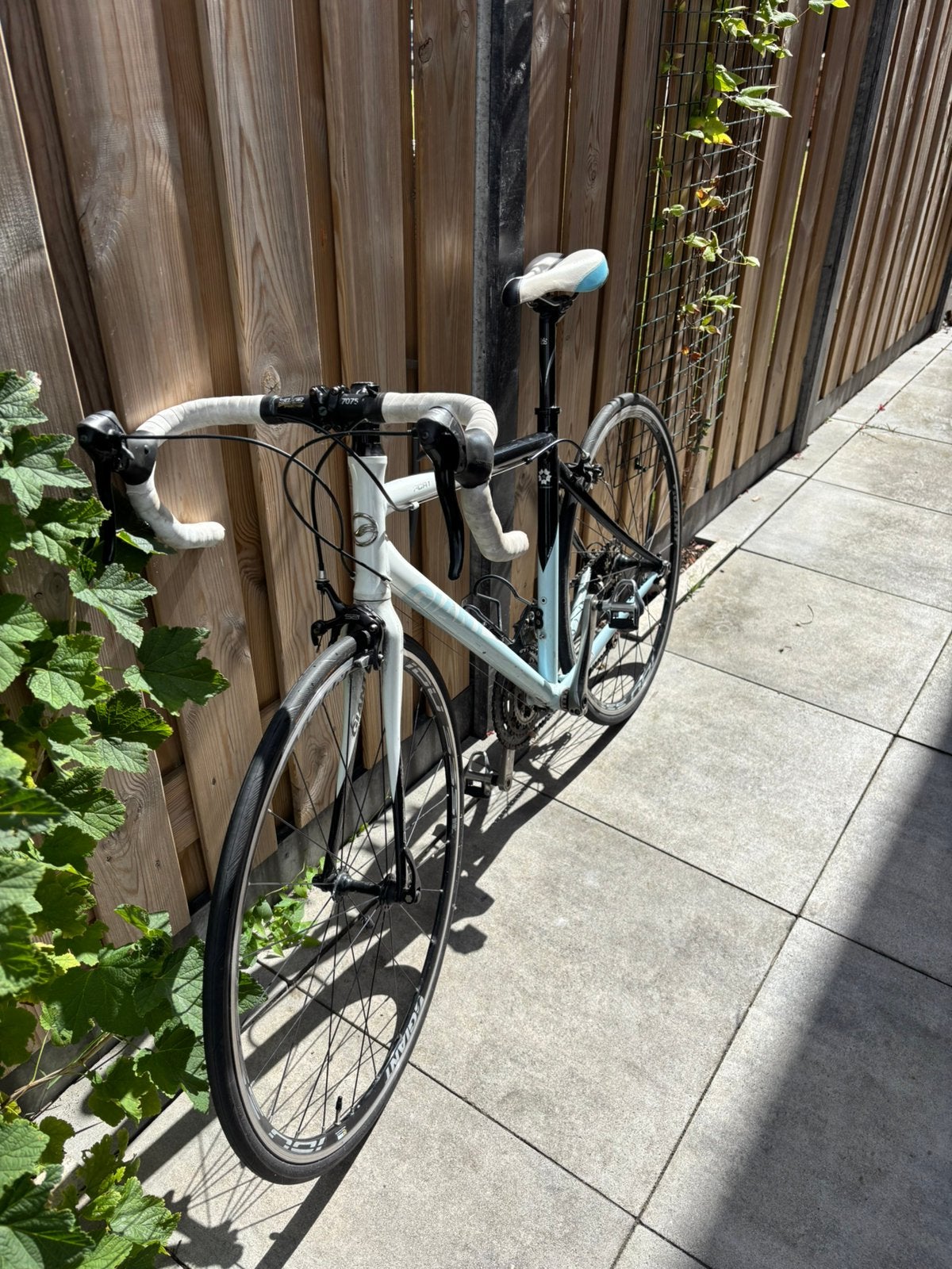 Giant wielrenfiets, Fietsen en Brommers, Fietsen | Racefietsen, Gebruikt, Giant, Meer dan 20 versnellingen, Velgrem, Aluminium