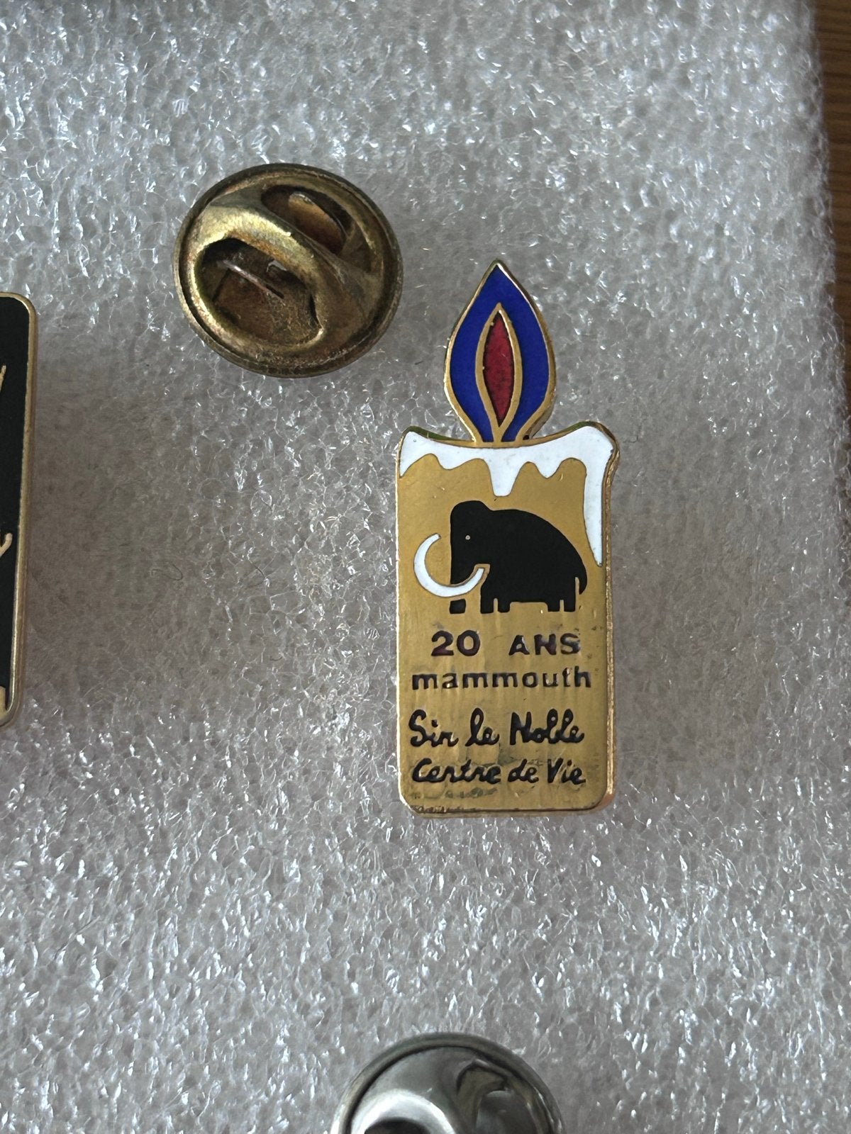 Vintage pin: 20 Ans Mammouth Sir le Noble Centre de Vie, Verzamelen, Ophalen of Verzenden, Gebruikt, Overige onderwerpen, Speldje of Pin