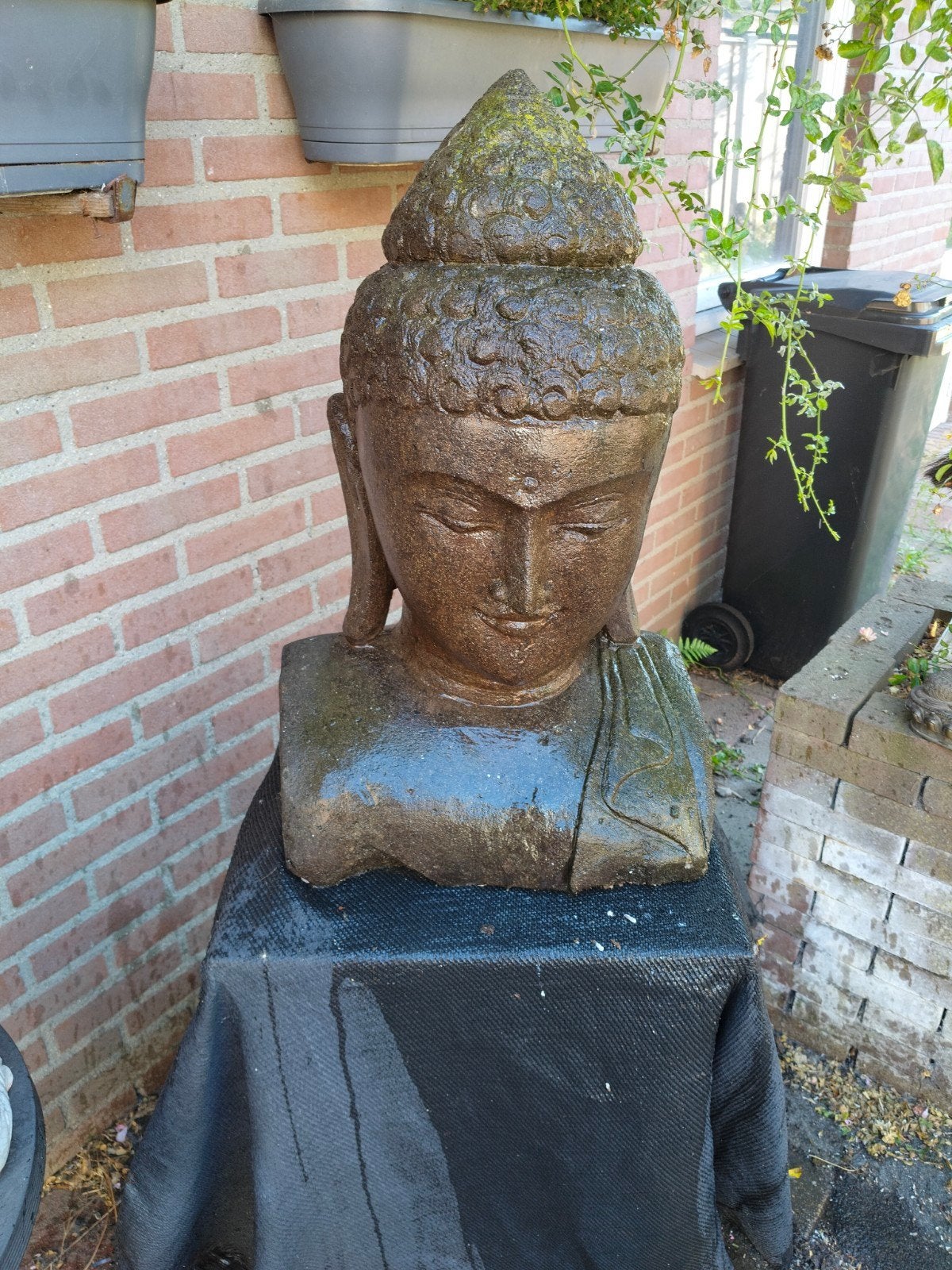 boedha, Tuin en Terras, Tuinbeelden, Ophalen